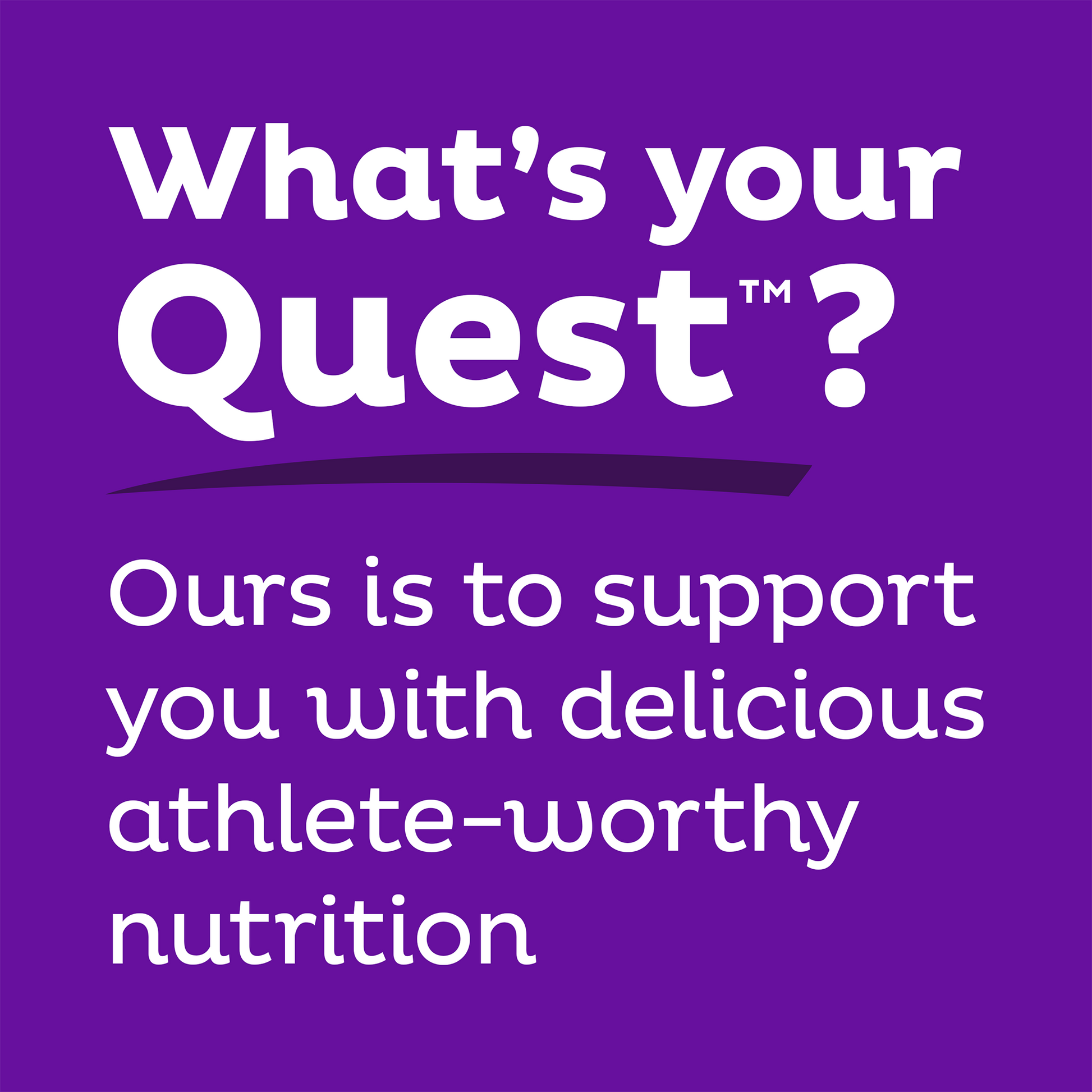 double-chocolate-chunk-protein-bars-h1 qst-000241_double-chocolate-chunk-protein-bars_9.png